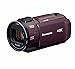 パナソニック デジタル4Kビデオカメラ 64GB HC-VX1M-T ビデオカメラ