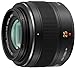 パナソニック LEICA DG SUMMILUX 25mm/F1.4 ASPH. H-X025 カメラ用レンズ