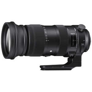 シグマ 60-600mm F4.5-6.3 DG OS HSM | Sports ニコン F マウント カメラ用レンズ
