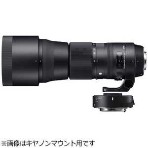 シグマ APO 300mm F2.8 EX DG HSM ニコンAF カメラ用レンズ