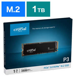 Crucial P3 NVMe CT1000P3SSD8JP SSD