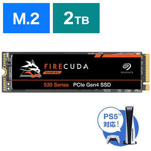 SEAGATE FireCuda 530 ZP2000GM3A013 SSD