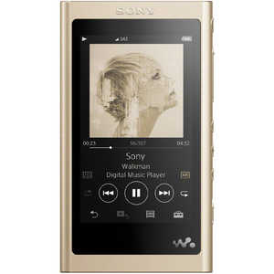 Sony ウォークマン NW-A55HN N デジタルオーディオプレーヤー