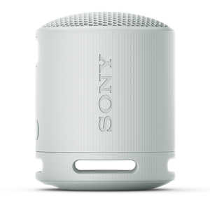 Sony SRS-XB100(H) ワイヤレススピーカー