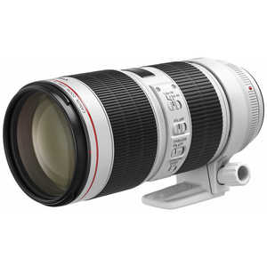 キヤノン EF70-200mm F2.8L IS III USM EF70-200LIS3 カメラ用レンズ
