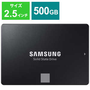 サムスン SSD 870EVO MZ-77E500B/IT SSD
