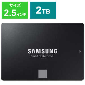 サムスン SSD 870 EVO MZ-77E2T0B/IT SSD